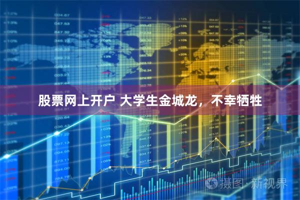 股票网上开户 大学生金城龙，不幸牺牲